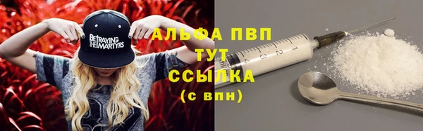 прущий лед Михайлов