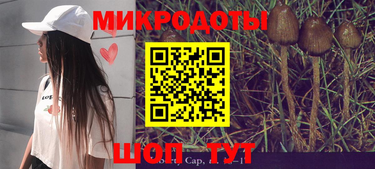 Псилоцибиновые грибы MAGIC MUSHROOMS Бор