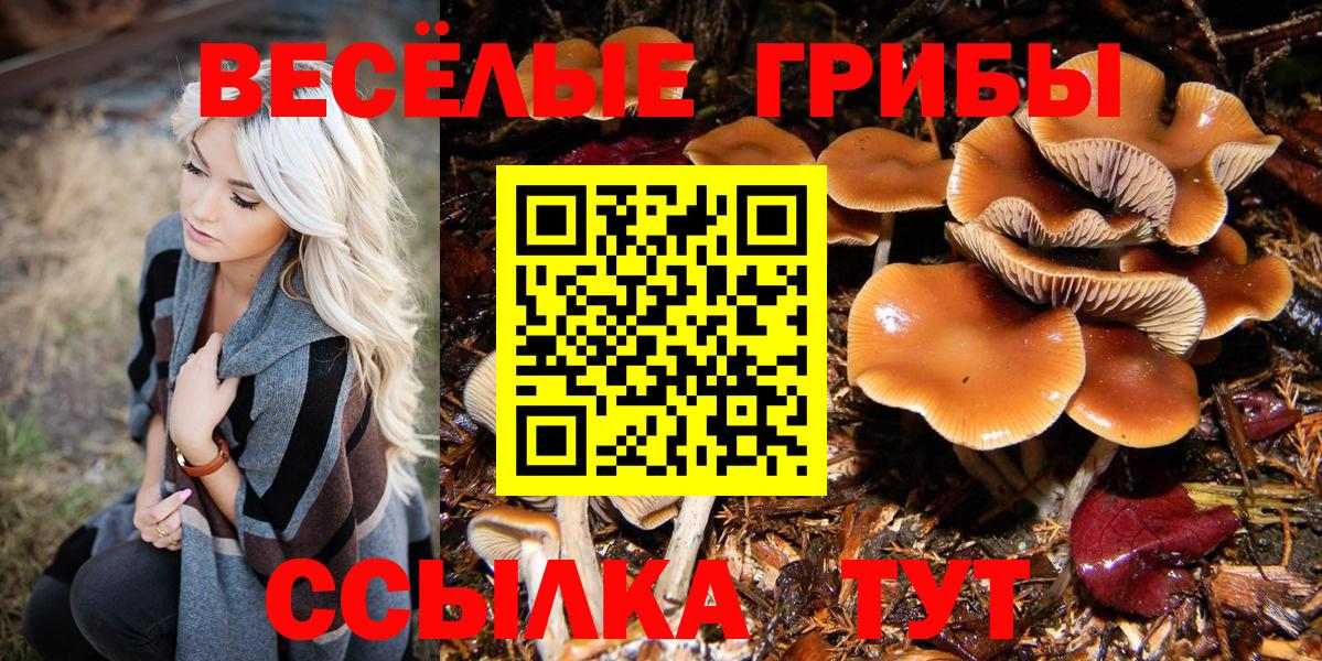 Бор  Галлюциногенные грибы Psilocybe  Вход с VPN 