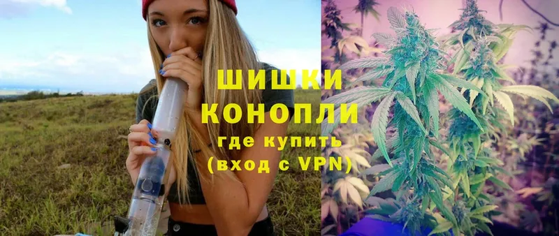 Бошки Шишки THC 21%  даркнет сайт  Бор 