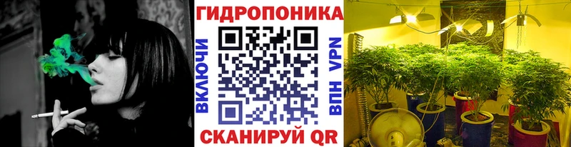МАРИХУАНА план  сколько стоит  Бор 